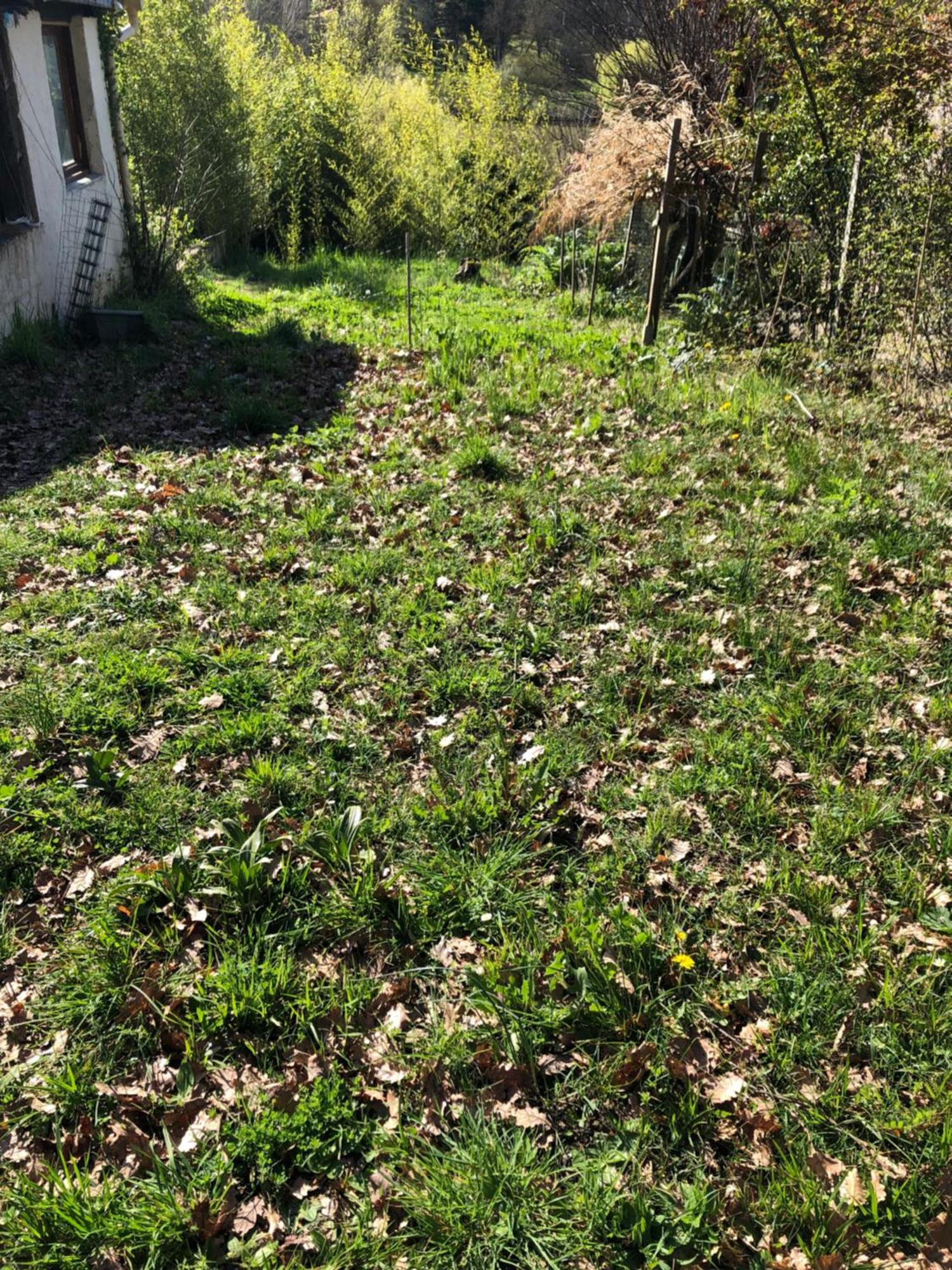 Logement Entier Aussonne Luaran gambar